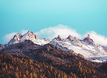 胡金秋：多年付出终有回报 希望多打10年&和队友继续创造更多荣誉